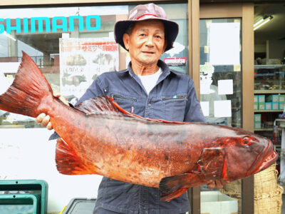 「ハージン（スジハタ）」群島記録更新