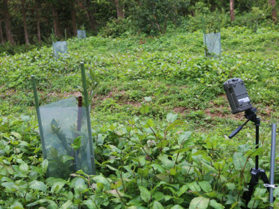 新時代あまみ　共生を問う＝中＝