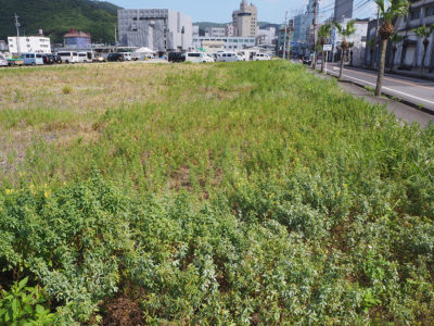 奄美市マリンタウン