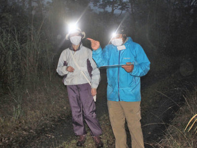野鳥の会　オオトラツグミ調査