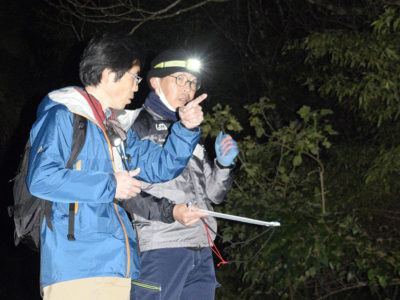 オオトラツグミ一斉調査