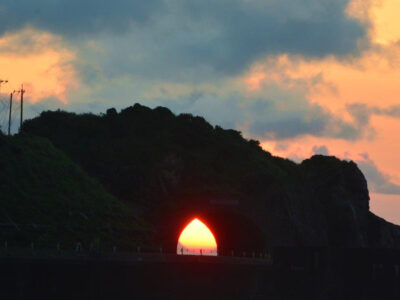 「秋のかがんばなショー」始まる