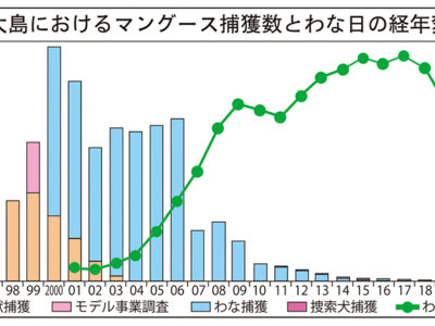 マングース　約５年間捕獲ゼロ