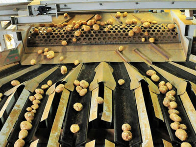 バレイショ価格暴落