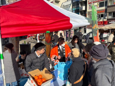大和村のタンカン好評