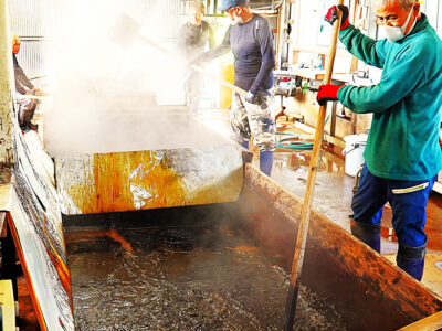 伊仙町で黒糖「サタタキ」始まる
