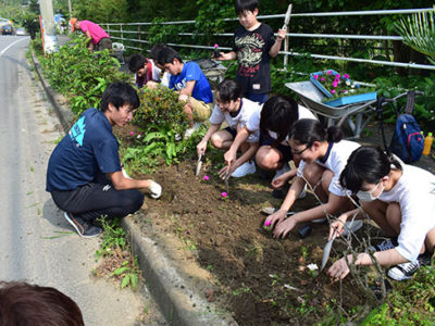 「世界自然遺産ふさわしい道路に」