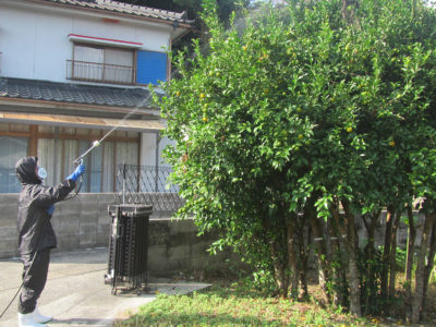 16日、徳之島町からスタート