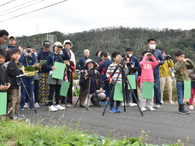 秋名の田袋で野鳥観察