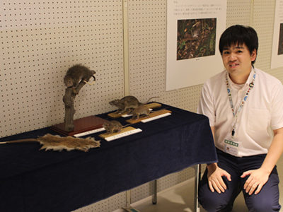 奄美博物館　奄美大島のネズミ展