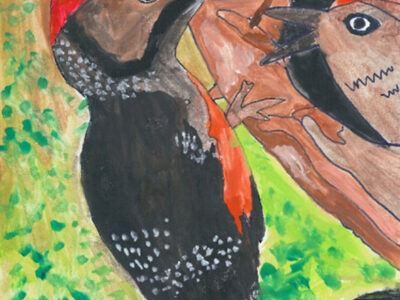 「やせいのいきもの絵画展」