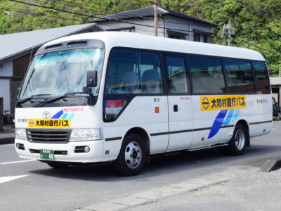 大和村路線バス、運行開始