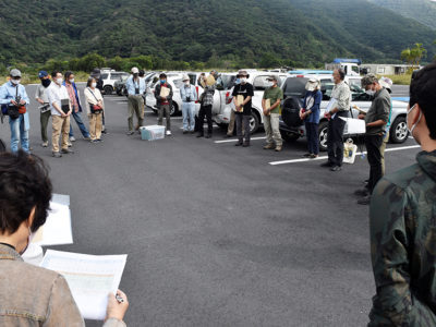 奄美大島で初のサシバ全島調査