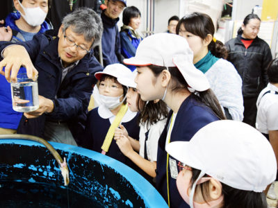 リュウキュウアユ観察学習