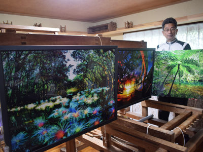 幻想的な奄美の自然写す