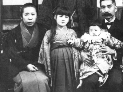 菊草の写真見つかる