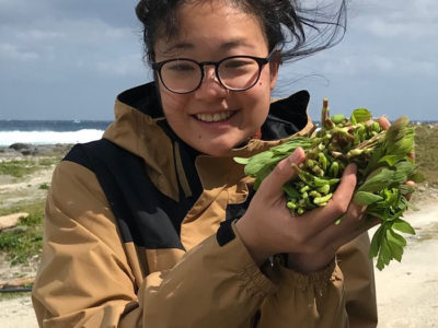 宝島に生きる　上