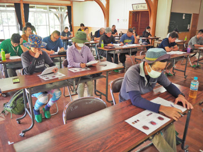 パッションフルーツ出荷協