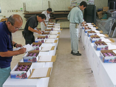 奄美市パッションフルーツ品評会