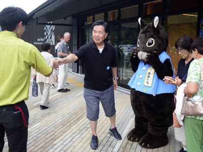 クロウサギ交通事故死が急増