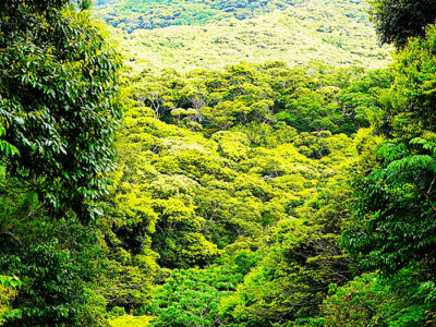 奄美・徳之島「うりずん」の季節