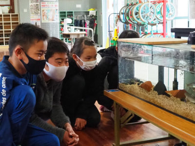 命の尊さを学ぶ希少種飼育