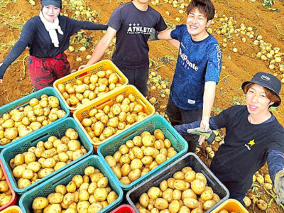 東京農大生13人　伊仙でファームステイ