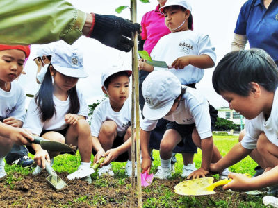 徳之島「夢」振 フラワープロジェクト