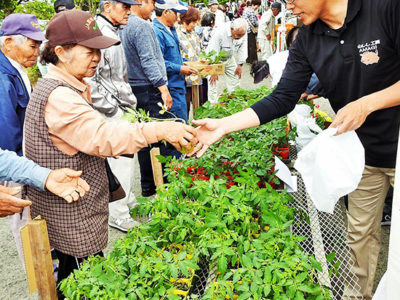 第４回「春の苗もの市」