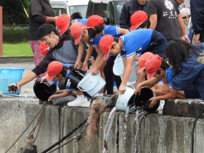 大和小児童　スジアラ１０００匹放流