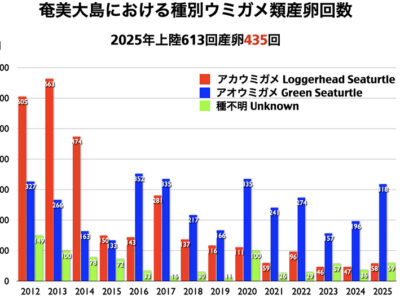 アオウミガメ産卵安定推移