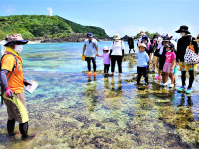 「金見イノー水族館」生物多様性にふれる