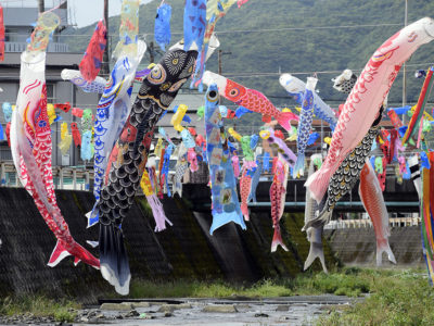 400匹、優雅に空泳ぐ