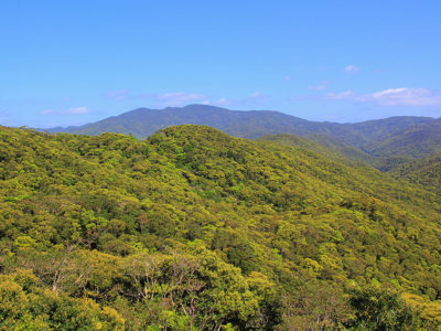 県、周遊ルート開発へ