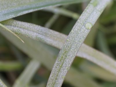 笠利、名瀬　最低気温10度下回る