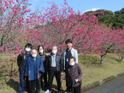 「崎原千本桜」で花見