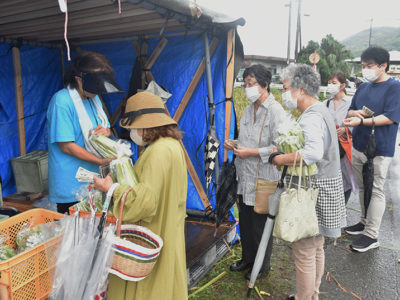 マコモ直売会にぎわう