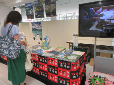 世界自然遺産登録追い風