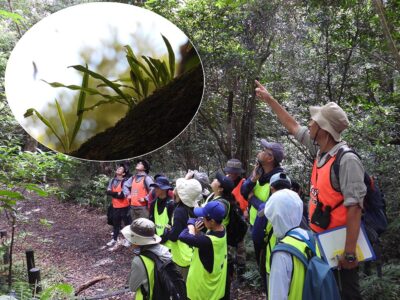 鹿大自然観察体験プログラムスタート