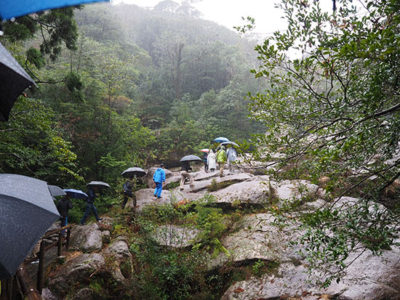 島民向け商品開発を