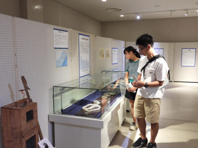 奄美博物館　「ヘビ展」開催中