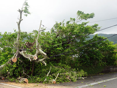台風19号の猛威