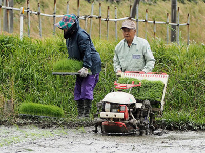田植えシーズン到来