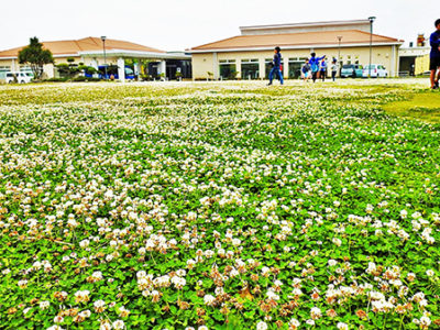 希望・幸運の象徴