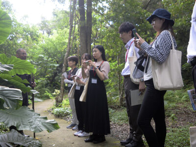 大阪・名古屋から熱視線