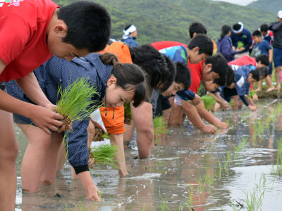 「オール奄美」にこだわり
