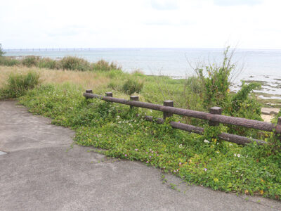 節田高層ホテル計画