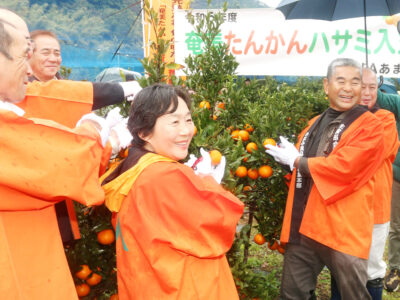 「奄美たんかん」はさみ入れ