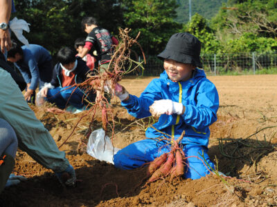 龍郷町子ども農業体験