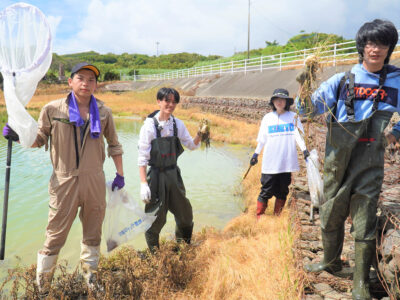 特定外来種シロアゴガエル駆除作業